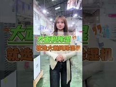 Mantenere livelli di umidità ottimali con deumidificatori industriali Proteggete il vostro spazio