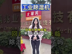 Deumidificatore per dessiccanti industriali per un'efficace rimozione dell'umidità