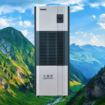 Un buon prezzo. Deumidificatore industriale 220V 6.8L/h Capacità di protezione strutturale In linea