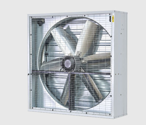 Un buon prezzo. Ventilatore a pressione negativa a azionamento diretto 750 W per il controllo della temperatura interna in linea
