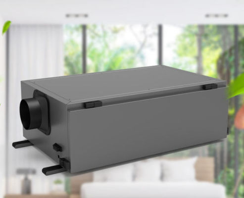 Un buon prezzo. Potente deumidificatore 480w per prevenzione della muffa e controllo dell'umidità in linea