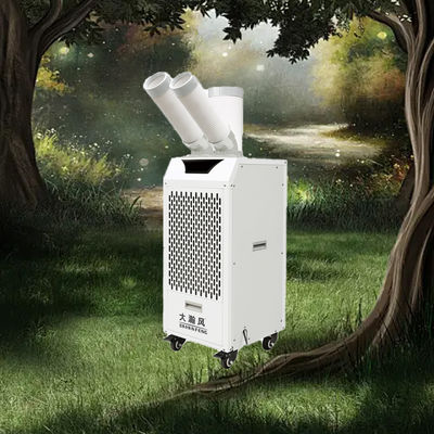 Un buon prezzo. Stabilizzazione della temperatura con raffreddatore d'aria mobile In linea