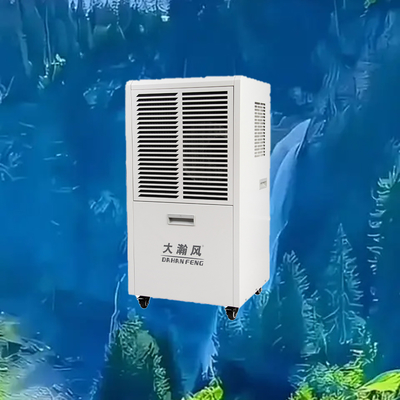 Un buon prezzo. Deumidificatore commerciale 60L/D 500m3/h 220V per spazi di 80-120m2 In linea