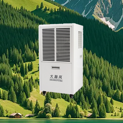 Un buon prezzo. Deumidificatore commerciale da 60L/D 220V 500m3/h per aree da 80 a 120m2 In linea