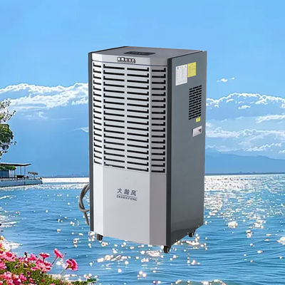 Un buon prezzo. Deumidificatore commerciale da 60L/D 220V 50Hz per spazi da 80 a 120m2 In linea
