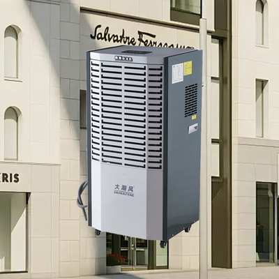 Un buon prezzo. Deumidificatore commerciale 220V 60L/D 500m3/h per 80-120m2 In linea