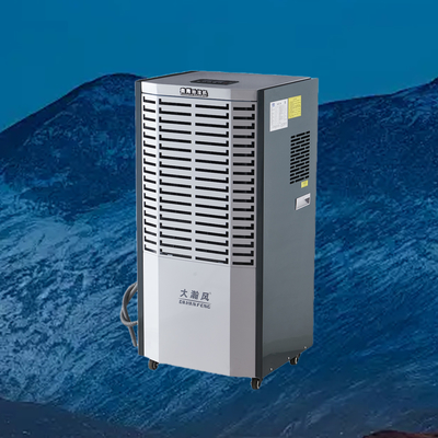 Un buon prezzo. Deumidificatore commerciale 220V 60L/D 500m3/h per 80-120m2 In linea