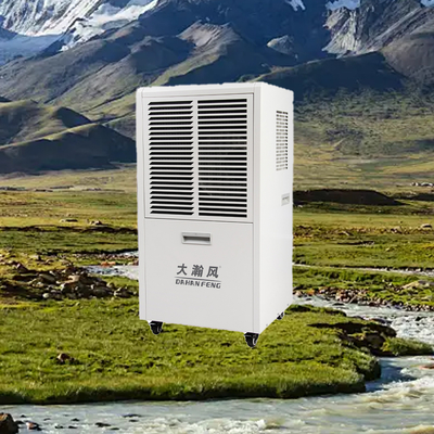 Un buon prezzo. Deumidificatore Commerciale 60L/D 220V 50Hz per Aree 80-120m² In linea